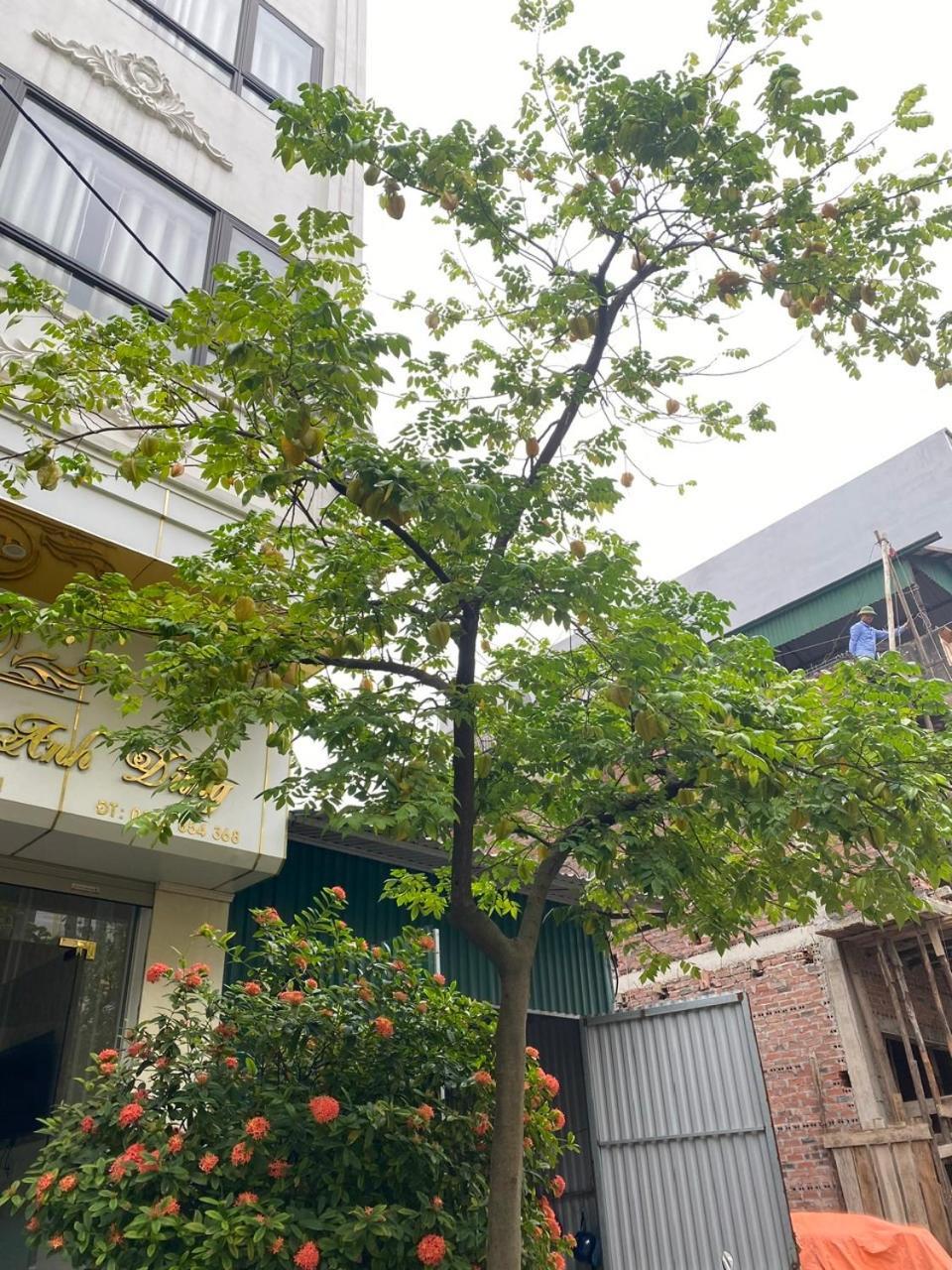 Nha Nghi Anh Dung Panzió Hạ Long-öböl Kültér fotó
