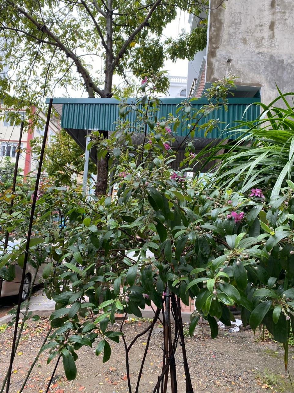 Nha Nghi Anh Dung Panzió Hạ Long-öböl Kültér fotó